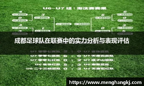 成都足球队在联赛中的实力分析与表现评估